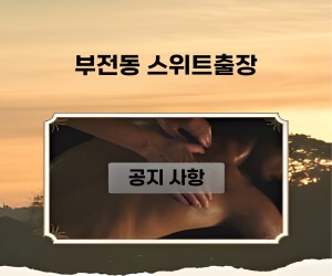 부전동출장 스위트를 이용하시는 고객님께 드리는 공지사항과 당부의 말씀입니다.